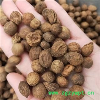 益智仁 本店新到盐炒益智仁选货无杂质实物拍摄 产地 广西壮族自治区图2