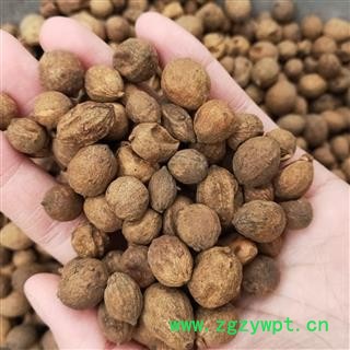 益智仁 本店新到盐炒益智仁选货无杂质实物拍摄 产地 广西壮族自治区图4