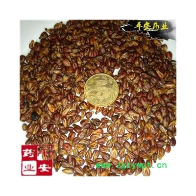 平安药业 葡萄籽 正品 生子未发酵 水洗净货 葡萄子