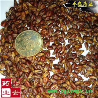 平安药业 葡萄籽 正品 生子未发酵 水洗净货 葡萄子图2