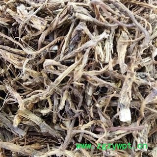 秦艽 内蒙野生秦艽 产地 内蒙古自治区图2