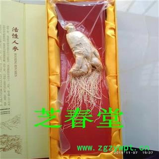 活性人参东北吉林长白山万良整枝人参足龄礼盒装白参图3