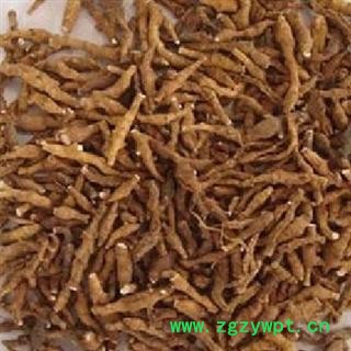 精选中药材节菖蒲 无硫 无杂 原色 植物原药材 产地 四川图3