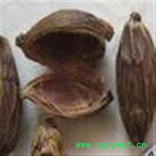 小丽百草行工艺品原材料 枣槟榔 壳槟榔图3