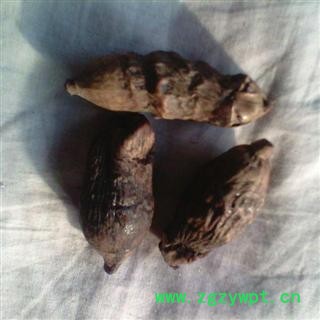 小丽百草行工艺品原材料 枣槟榔 壳槟榔图4