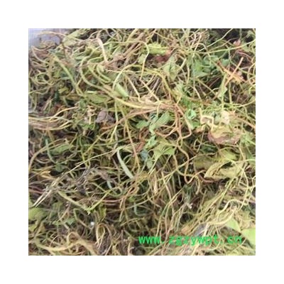 芝春堂 田字草 正品 别称-四叶草 四叶苹 水草头 水金花头 野草头 野连菜 野极菜 十字草 妹妹草 破铜钱草 夜里串 夜爬山