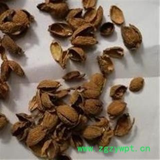 小丽百草行砂仁壳 砂仁皮 统 产地 海外图2