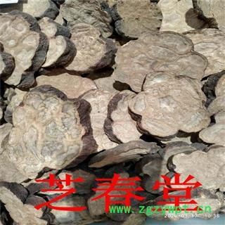 中药材优质散装何首乌药食同源产地大货另有制何首乌量大从优图4