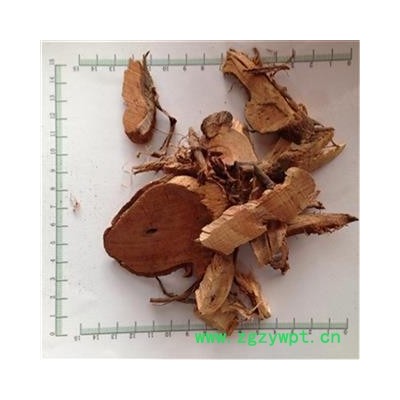 芝春堂 批发冷背无硫优质中药材 苎麻根 产地直销 支持验货