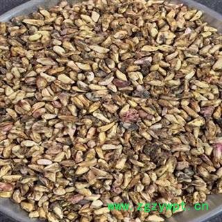 小丽百草行石榴子 石榴籽大货供应支持化验不合格退货量大从优图2