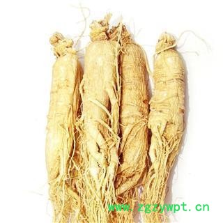 生晒参35支选货  全干货  质量好 价格低 产地 吉林省图2