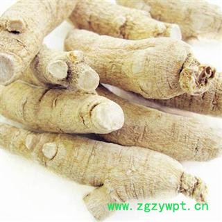 西洋参 西洋参长支20-30g 质量好 价格低 产地 吉林省图2