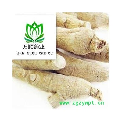 西洋参 西洋参长支20-30g 质量好 价格低 产地 吉林省