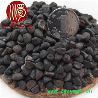 牵牛子黑丑选货散装1公斤起批产地直供川蜀山农中药材批发图3