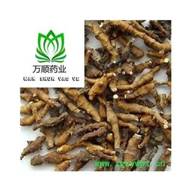 正品九节菖蒲净货 质量好 价格低 规格齐全  产地 山西省