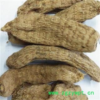 天麻 家种天麻仿野生一级 质量好 价格低 产地 贵州省图2