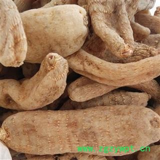 天麻 家种天麻二级20支 质量好 价格低 产地 贵州省图2