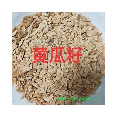 黄瓜子 黄瓜子统货 产地 山东省济南市市辖区