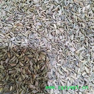 小茴香 小茴香净货干净无杂质，实物拍摄 产地 广西壮族自治区图2