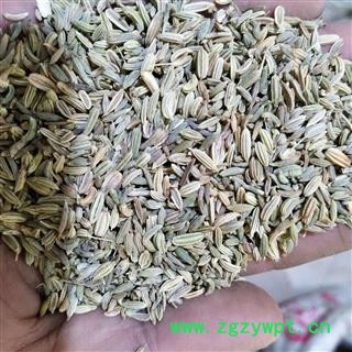 小茴香 小茴香净货干净无杂质，实物拍摄 产地 广西壮族自治区图3