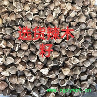 辣木籽 辣木籽中粒货 产地 海外图3