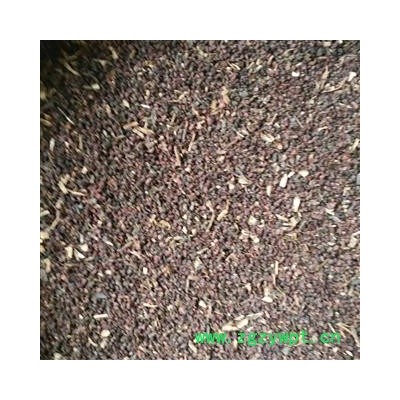 月见草子 月见草籽  统货 产地 吉林省