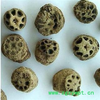 藕节 选 批发零售各种规格中药材 花茶 产地 湖南省图2