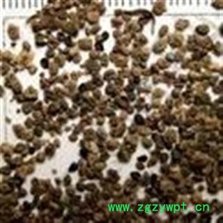 小丽百草行中药材地肤子黑龙江产地五星地肤子图2