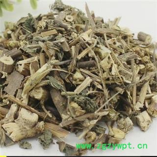 小丽百草行挖耳朵草 癞虱草天名精 天明精 鹤虱草 统 产地 江苏省图2