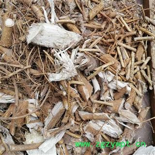 中药材 楮树根图2