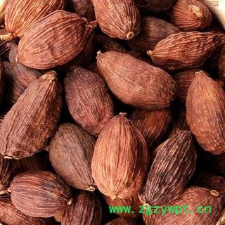 小丽百草行草果 云南草果 统货 高含量颗粒饱满量大从优 产地 云南省图2