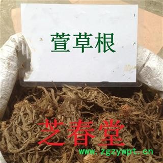 正品中药材批发 萱草根 黄花菜根 漏芦根果 金针菜根 量大从优图2
