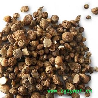 小丽百草行一滴珠 一粒珠、石里开图2