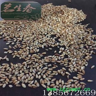 柏子仁 厂家直销出口级99%纯仁无壳柏子仁 茗生春药材总公司 一手货源 7天无理由退换图2