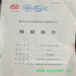 柏子仁 厂家直销出口级99%纯仁无壳柏子仁 茗生春药材总公司 一手货源 7天无理由退换图3