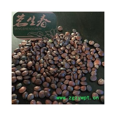 98%酸枣仁 茗生春药材总公司 一手货源  7天无理由退换