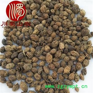 益智仁个子无硫统货散装1公斤起批产地直供益智子3川蜀山农中药材批发图4