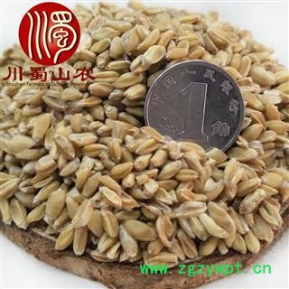 浮小麦无硫选货散装1公斤起批产地直供川蜀山农中药材批发图3