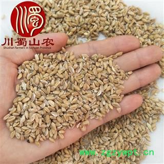 浮小麦无硫选货散装1公斤起批产地直供川蜀山农中药材批发图2