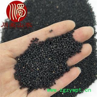 王不留行籽无硫选货散装1公斤起批产地直供川蜀山农中药材批发图2