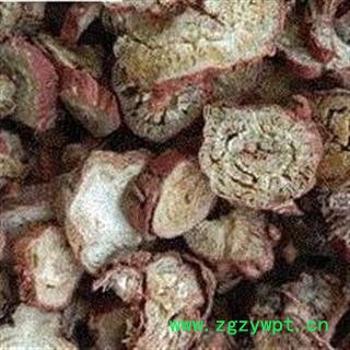 精品甘肃丹参大统片 新货无硫磺 质量好 价格低 产地直销  产地 甘肃省图2