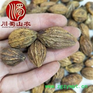 诃子个子选货散装1公斤起批产地直供柯子川蜀山农中药材批发图4