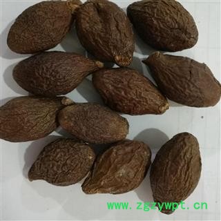 胖大海 胖大海长粒圆果好统货无变质霉烂每个果都能泡得开 产地 海外图2