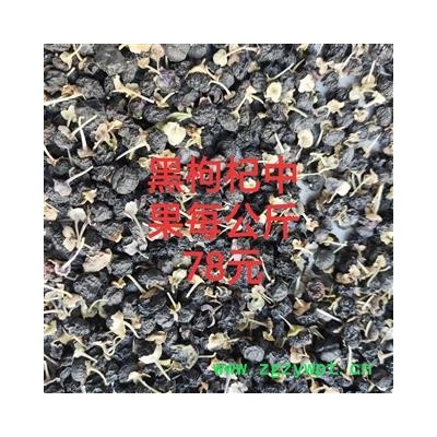 黑枸杞 产地直销新货黑枸杞中果 产地 青海省