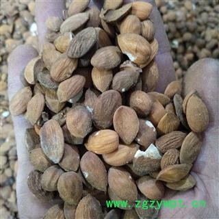 桃仁 产地直销扁桃仁个个饱满，断面白色。 产地 山东省图4