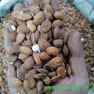 桃仁 产地直销扁桃仁个个饱满，断面白色。 产地 山东省图3