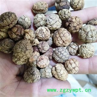 草豆蔻 云南草豆蔻统货 产地 云南省图4