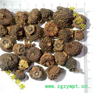 平安药业 刺梨 正品 刺酸梨子 茨梨 木梨子 送春归 九头鸟 刺莓果 刺菠萝 缫丝花图2