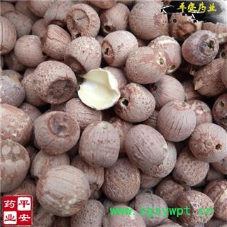 平安药业 红莲子 无硫带芯 药用味苦图2