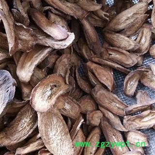 牛蒡根 牛蒡根选货 牛蒡茶 产地 辽宁省图2